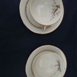 2 old porcelain cups Bavaria c f G bird and butterfly pattern