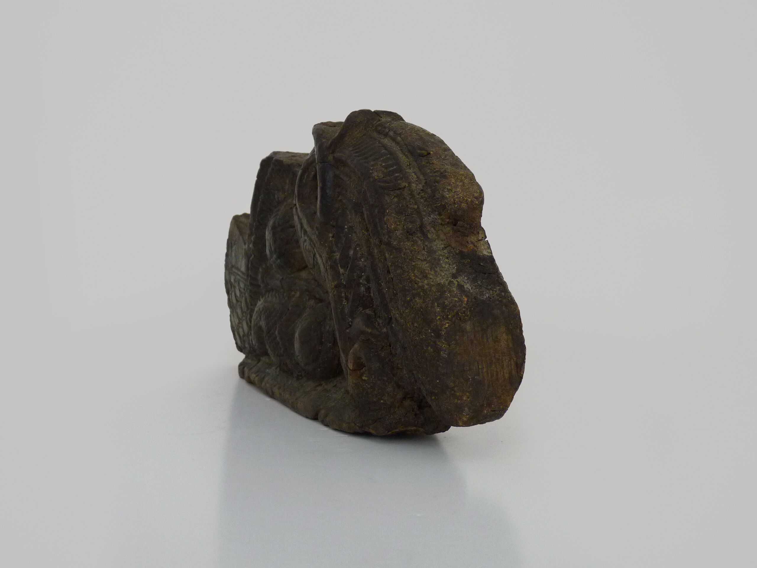 Piece of Indonesian wooden basrelief, chameleon. XIXth