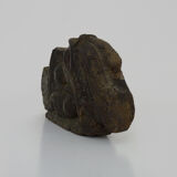 Piece of Indonesian wooden basrelief, chameleon. XIXth