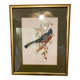 Bird frame 🐦
