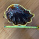 Vallauris shell dish