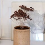 Old terracotta pot Provence XIX th