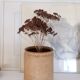 Old terracotta pot Provence XIX th