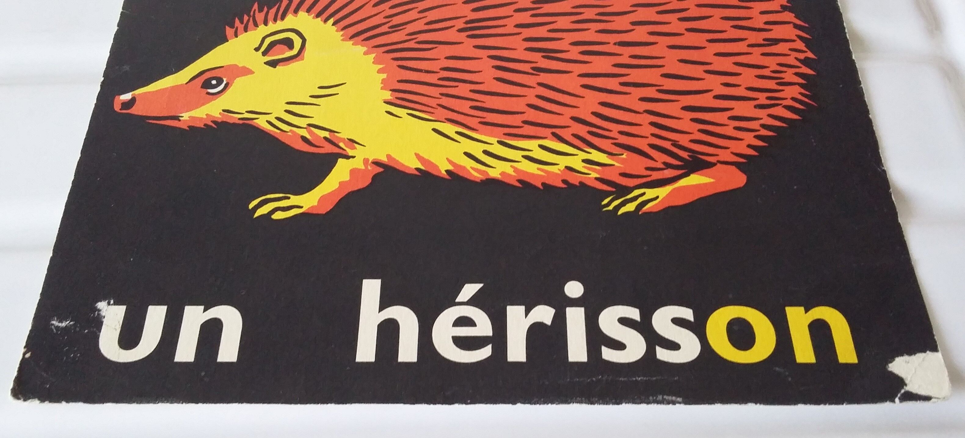 The hedgehog, reading image