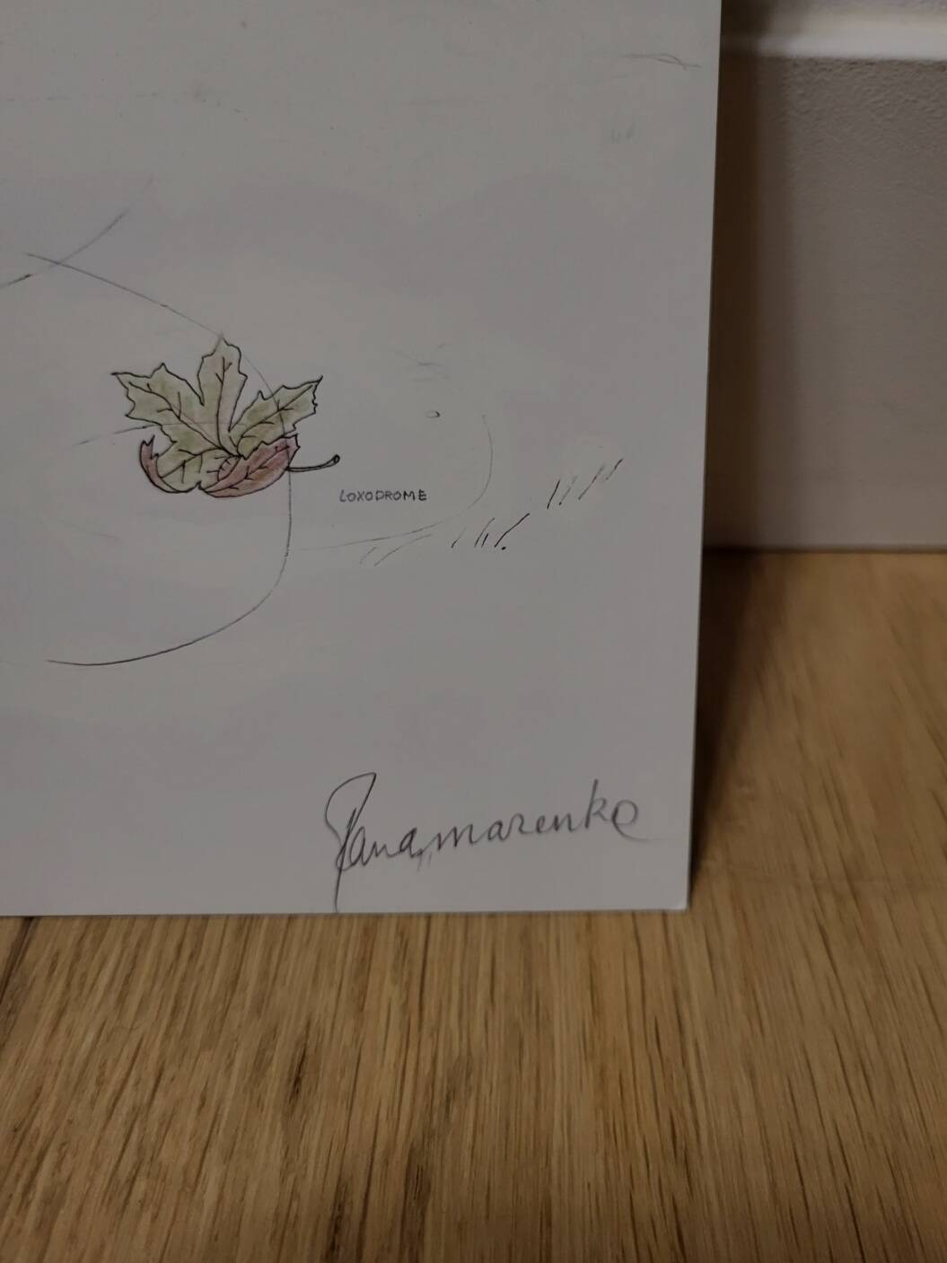 Panamarenko, Eiland et Loxodrome, 2004