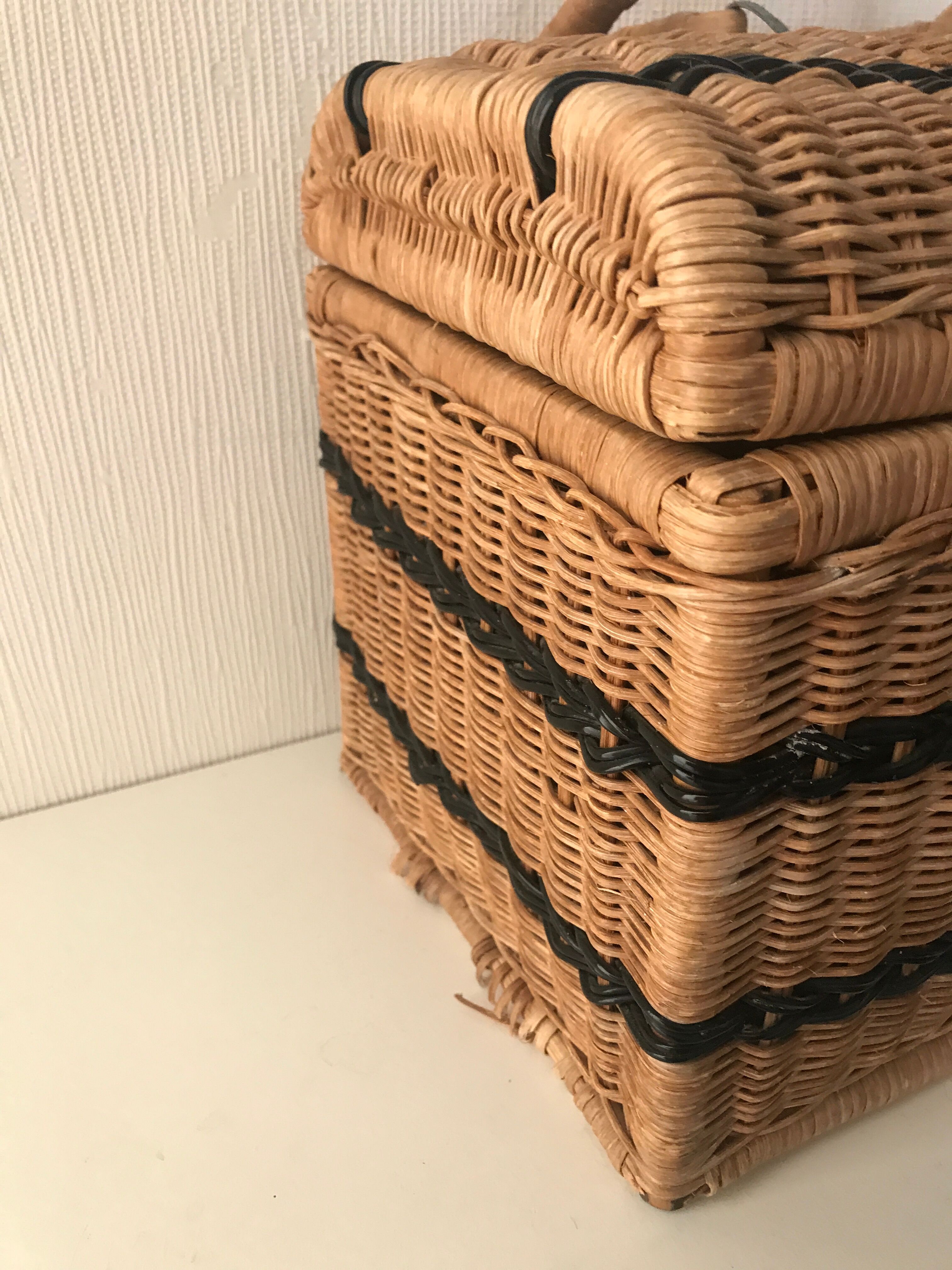Rattan wicker case