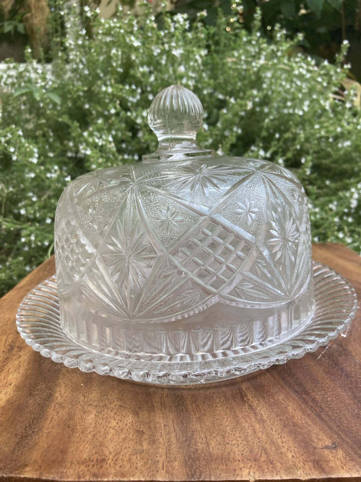 Pressed and moulded glass cheese dome