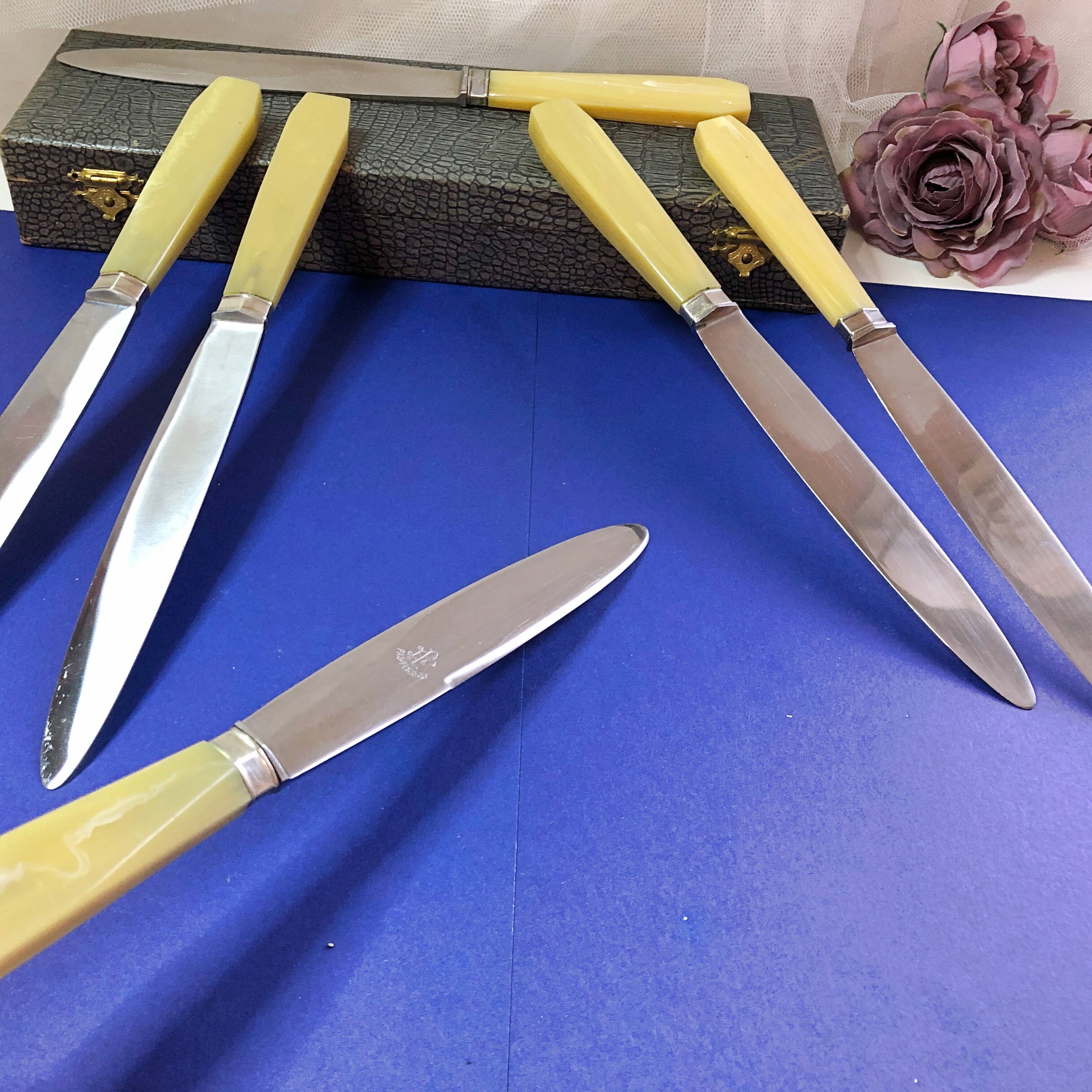 Box of 6 bakelite handle table knives France early 20th century