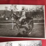 Photographie ancienne cavalier