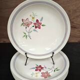 Set of 6 antique shallow bowls from Salin, France "Martine"