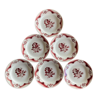 Pink plates iron earth amandinoise