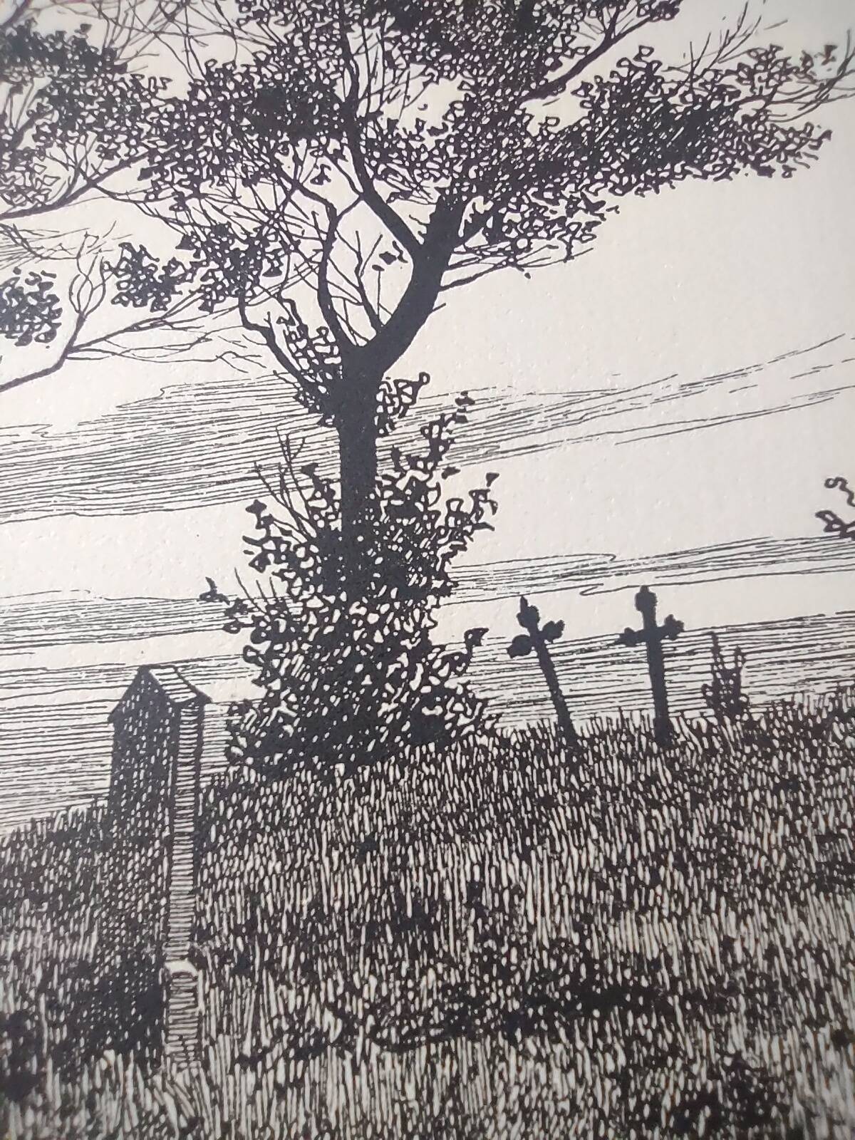 Antique print - Hiddensee cemetery - Lithograph from 1902