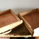 Antique wooden drawers