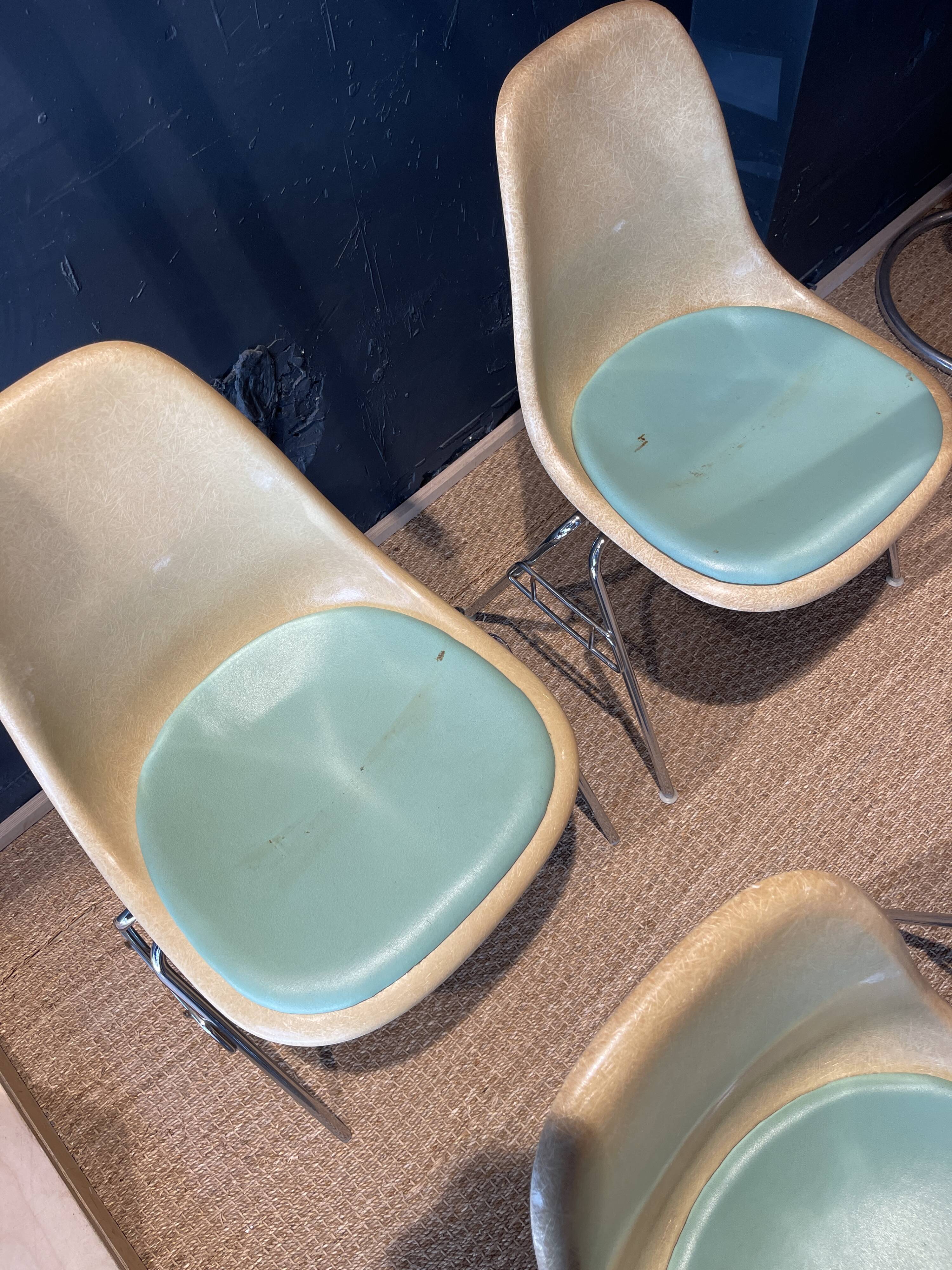 Set of 4 DSS chairs by Eames for Herman Miller, 1950s