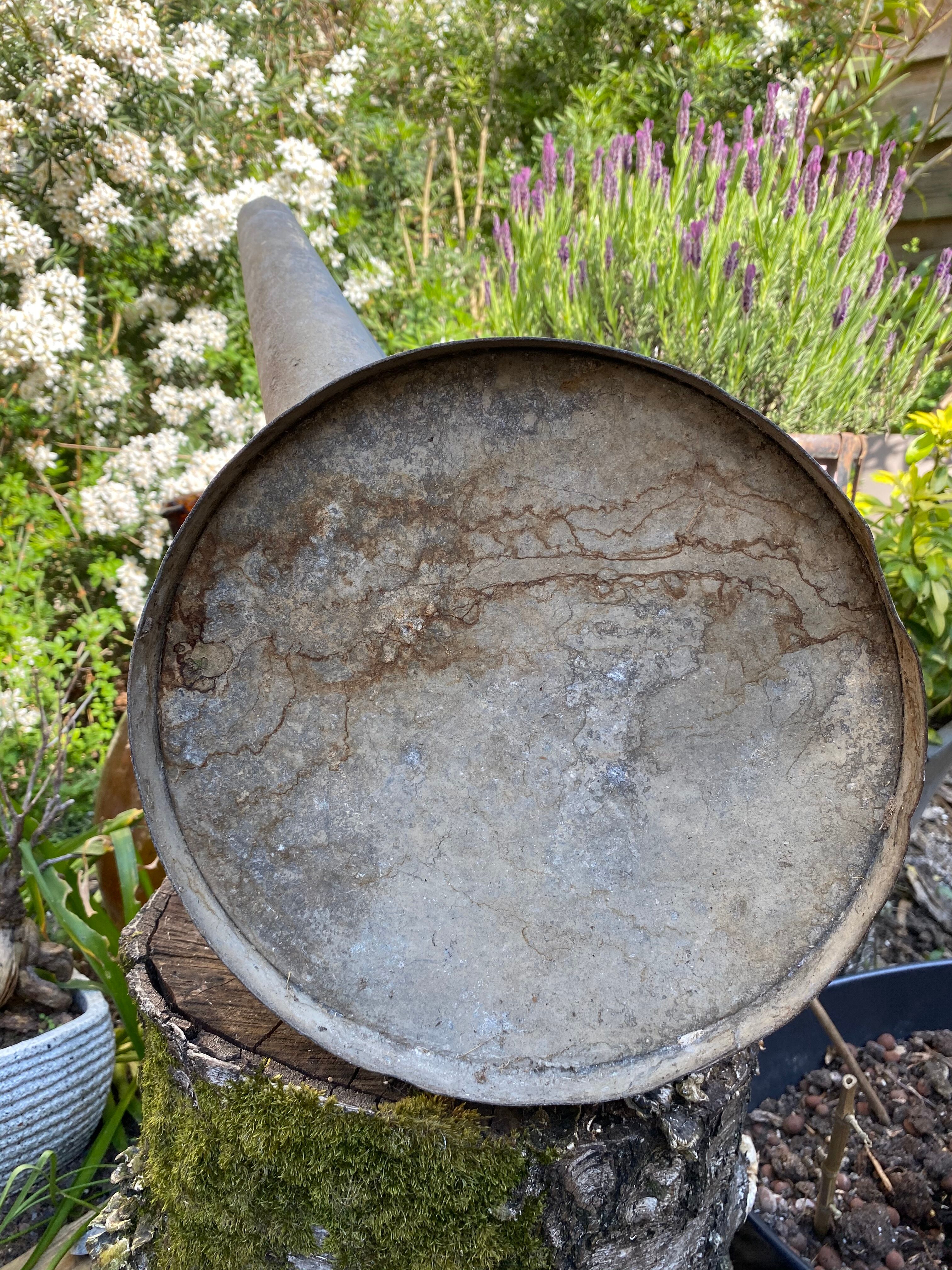 Old zinc watering can