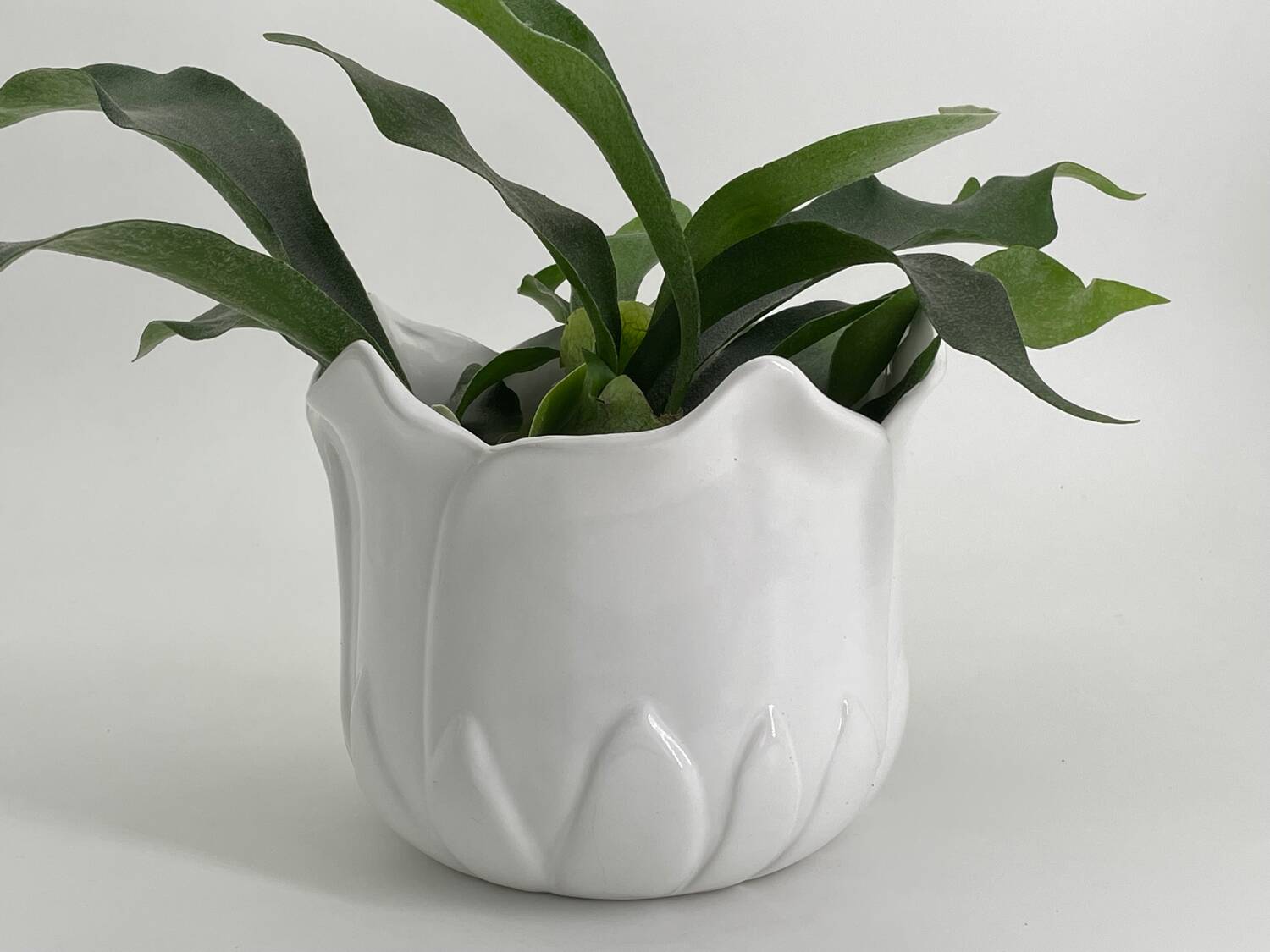 Vintage white porcelain tulip-shaped pot holder