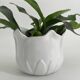 Cache pot en forme de tulipe porcelaine blanc vintage