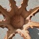 Antique Oriental Gueridon Tea Table