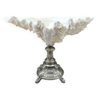 XXL large giant clam shell (Tridacne) on a silver-plated metal base, late 19th century