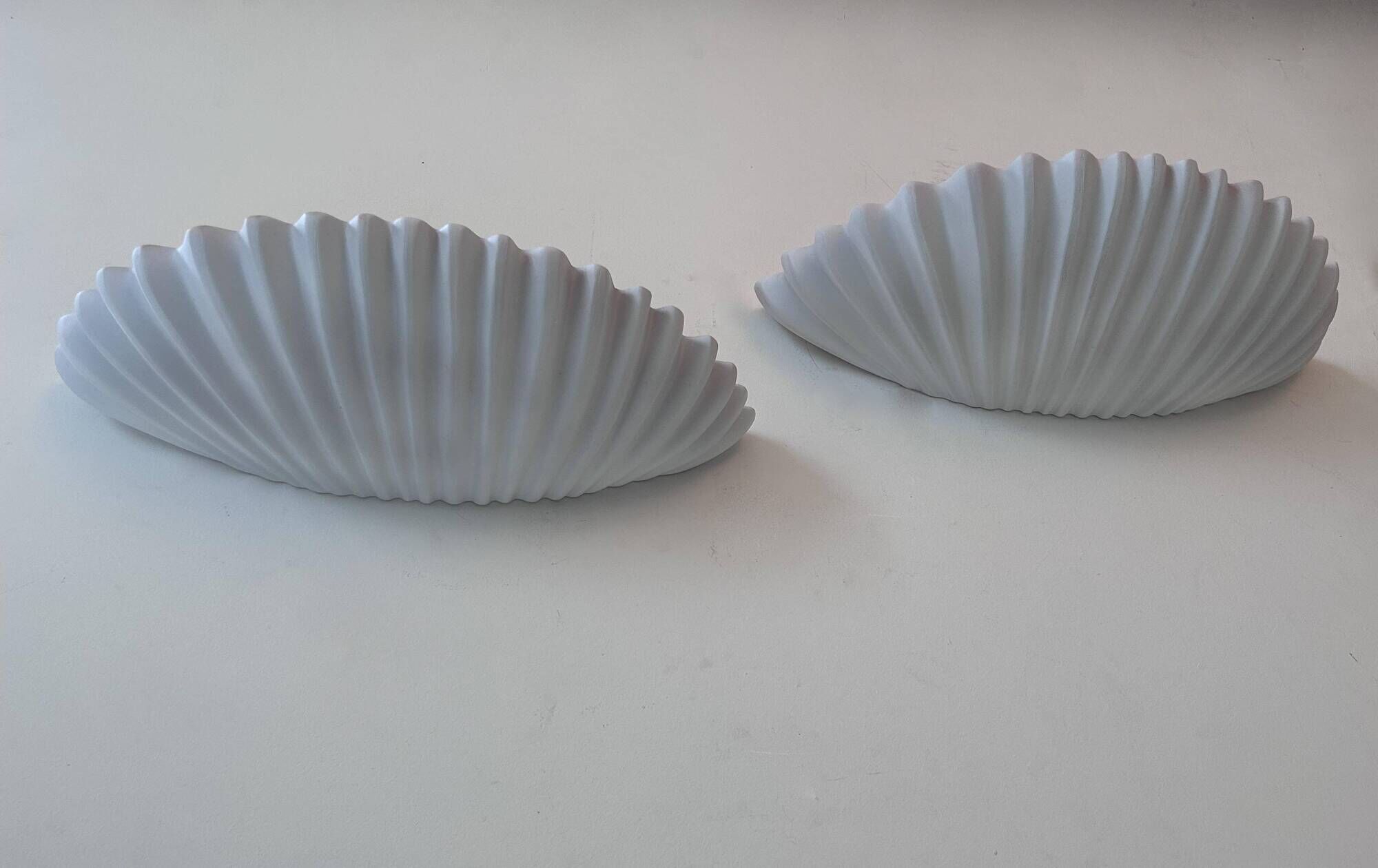 Pair of vintage shell wall lights, matte white, France 1970