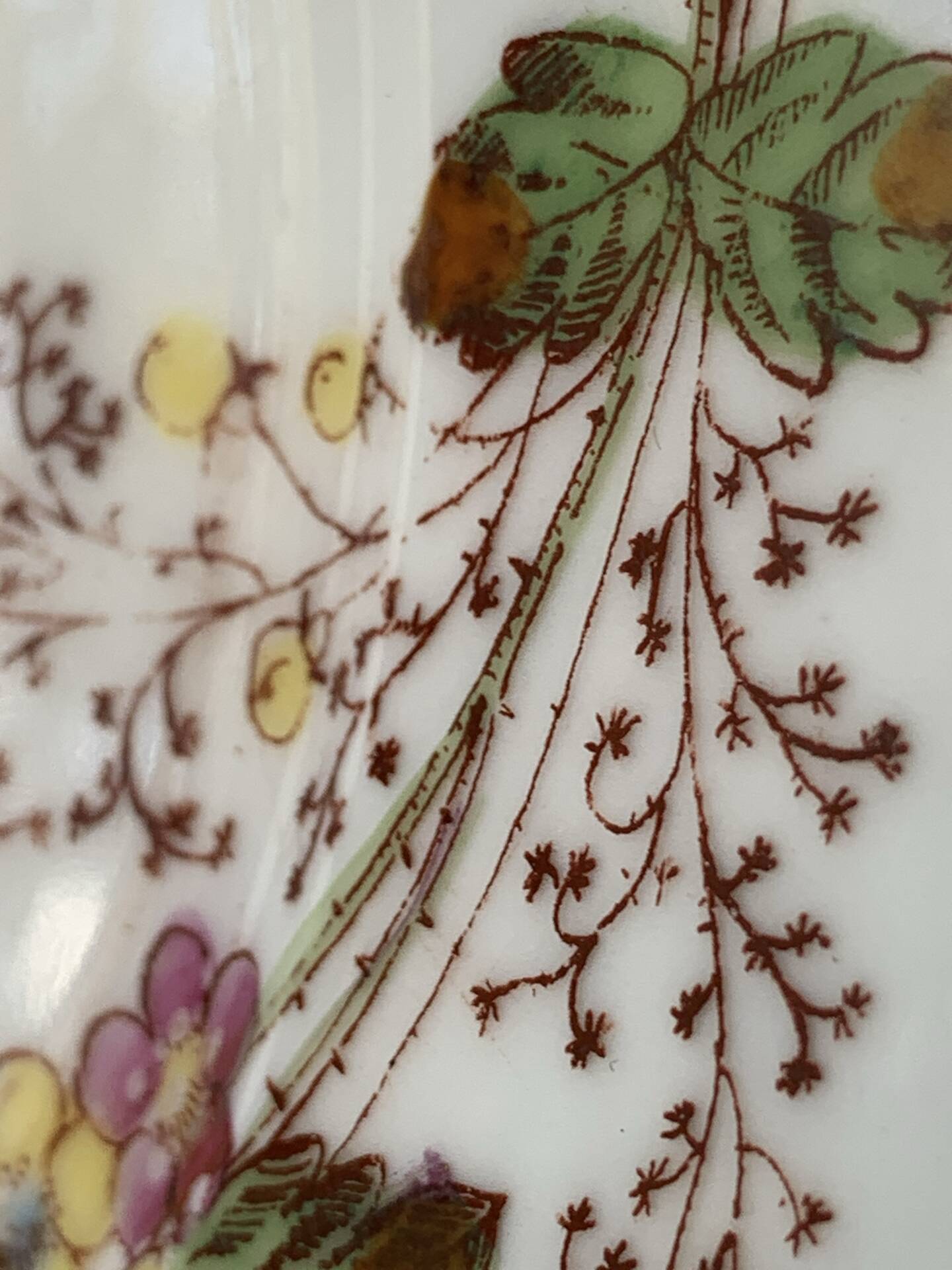 Six assiettes à entrée 1900s fleurs et papillons