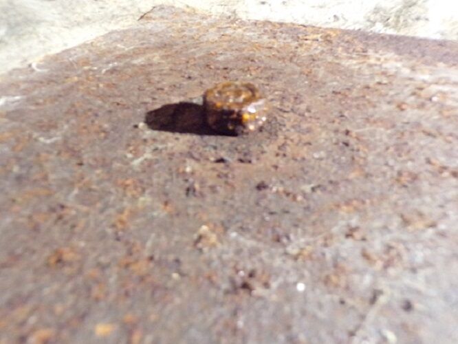 Table foot vintage Tulip