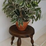 Solid wood tripod stool