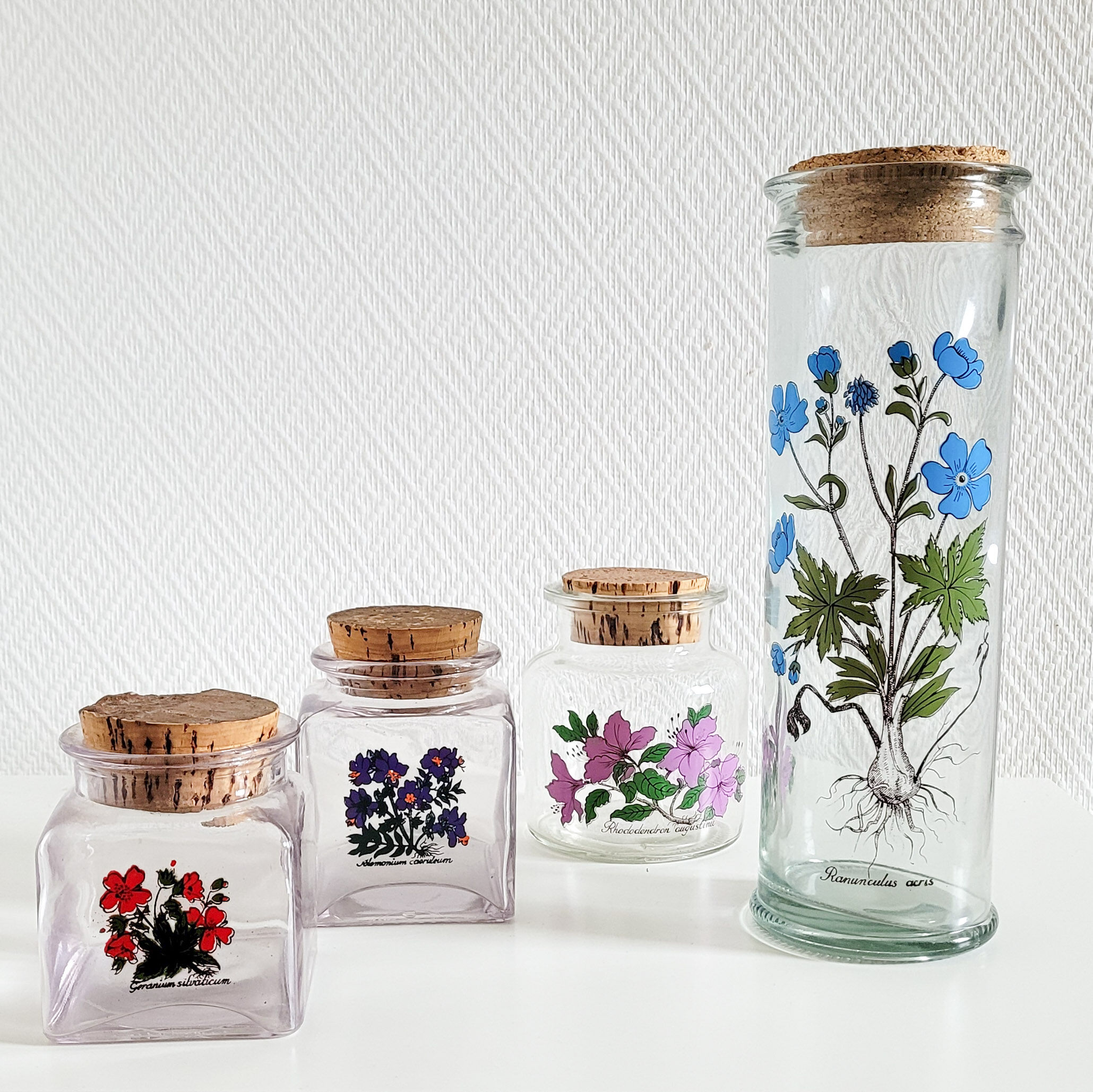 Batch of herbalism jars