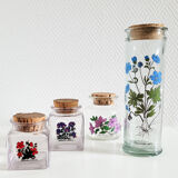 Batch of herbalism jars