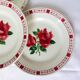 4 flat plates of Digoin Sarreguemines saverne model 220541