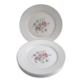 6 flat plates Digoin & Sarreguemines Floralies