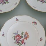 Set of 5 Limoges enameled porcelain plates