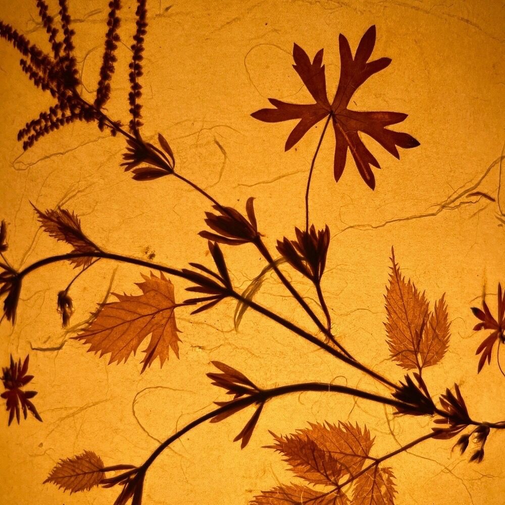 Lampe champêtre en grès pyrité et fleurs séchées années 70