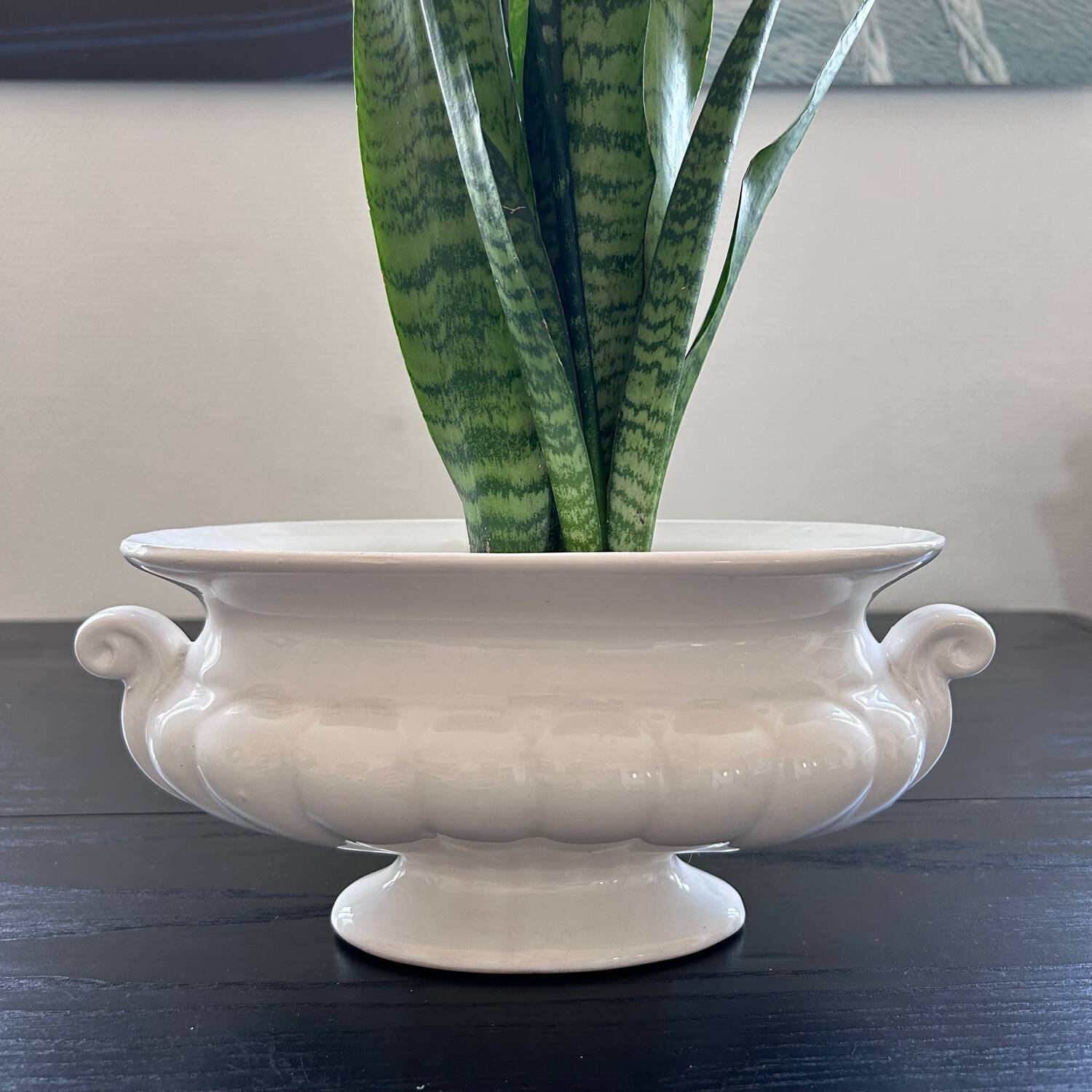 Medici style planter