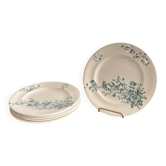 Lot 6 Plate Plates Faience Longwy Model Mignon