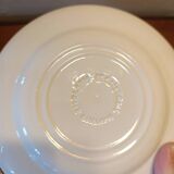 Set of 2 English ironstone plates