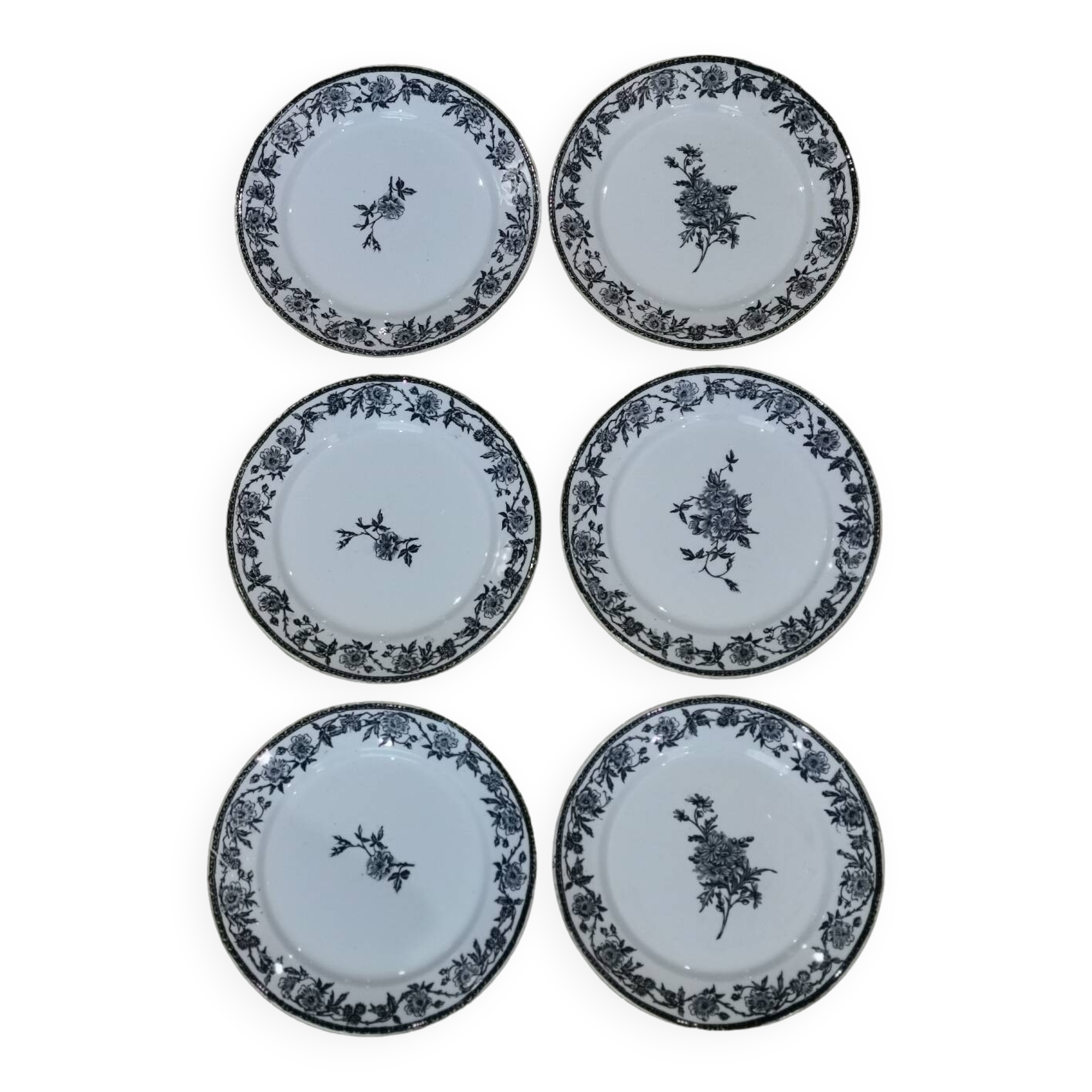 6 Pexonne "Paquerette" flat plates