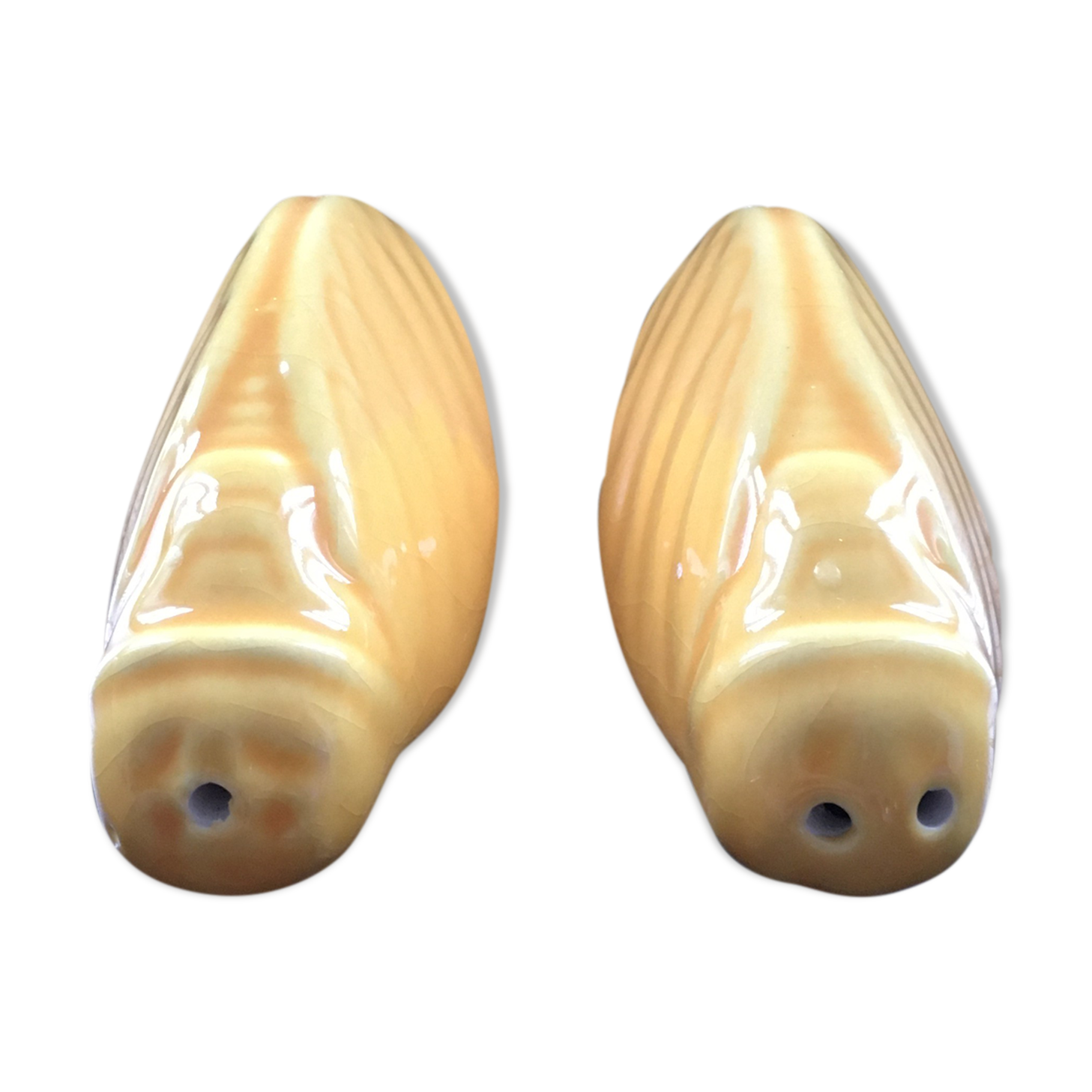 Saliere and pepper cicadas