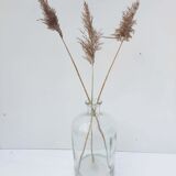 Demijohn