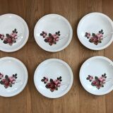 Set of 6 hollow plates Sarreguemines décor Richemond