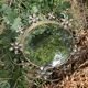 Vintage witch's eye mirror 43 cm, 1960s