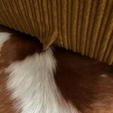 3-seater velvet sofa bed