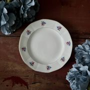 Assiettes et plat en véritable opaque Digoin Sarreguemines