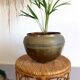 Brass pot cache