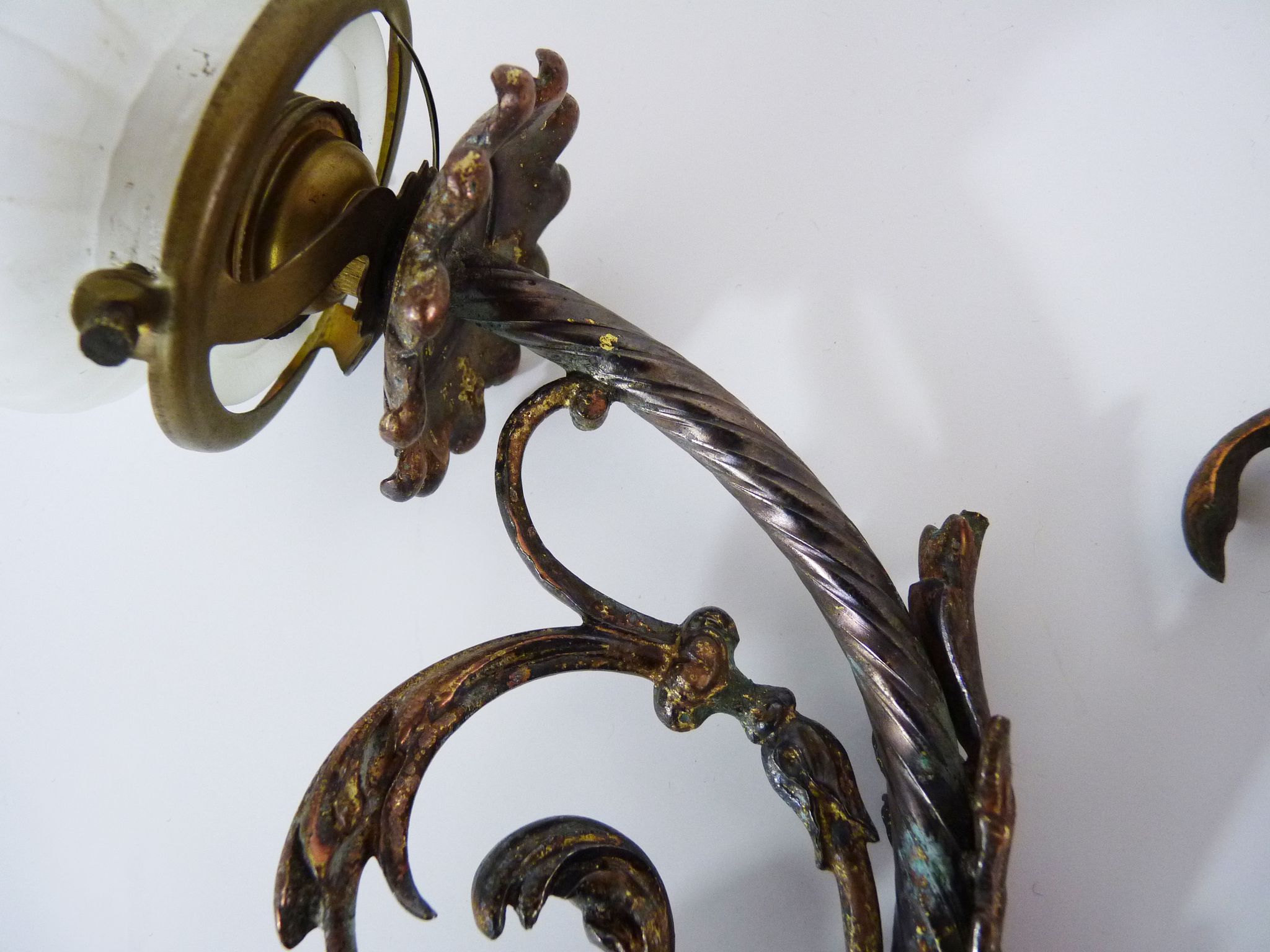 Pair of brass swan collar wall sconces, glass tulips, years 50