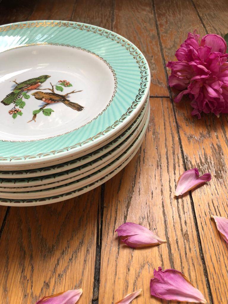 Set of 7 deep plates, turquoise rim and bird pattern.