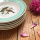 Set of 7 deep plates, turquoise rim and bird pattern.