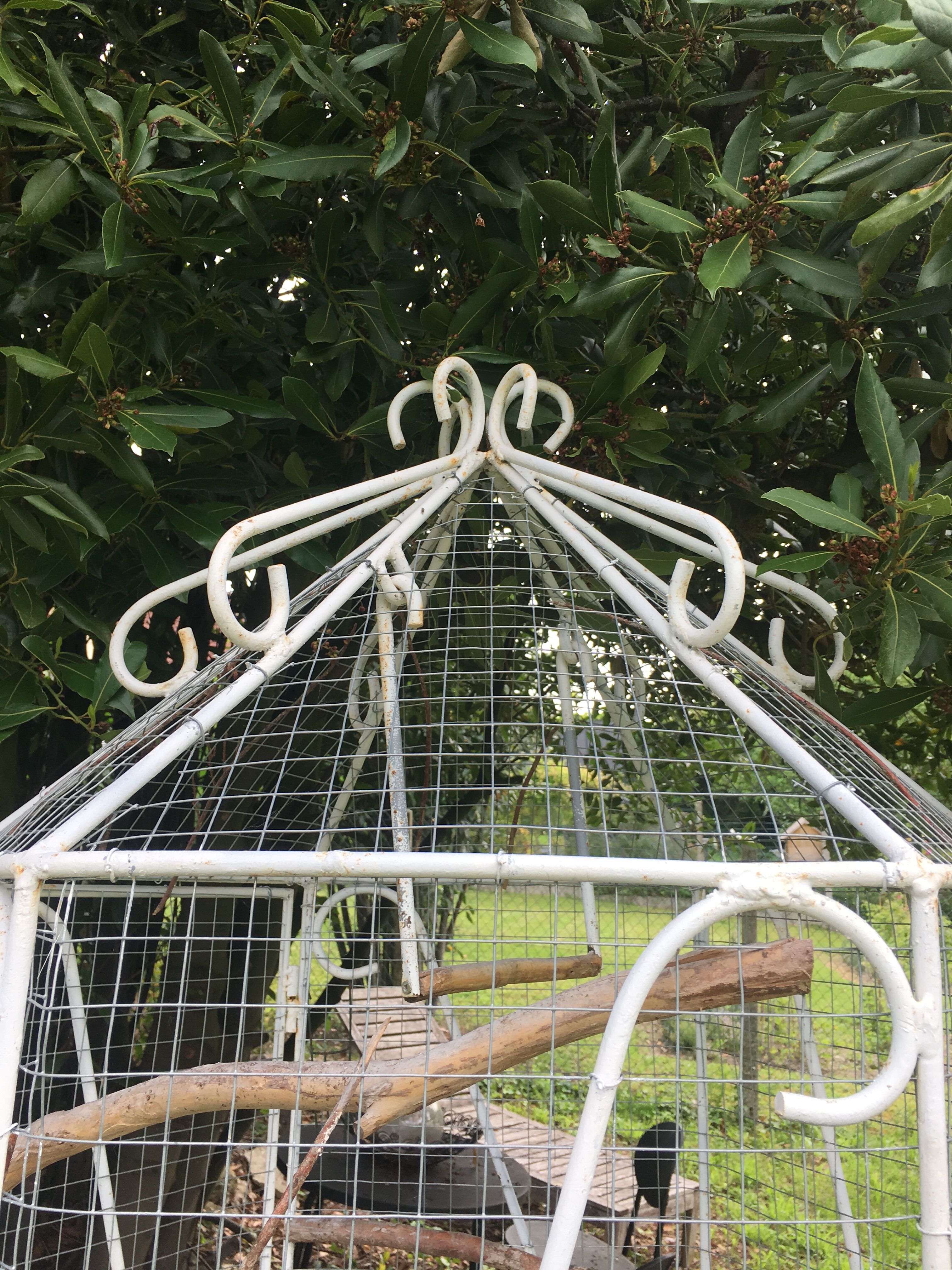 Aviary/birdcage