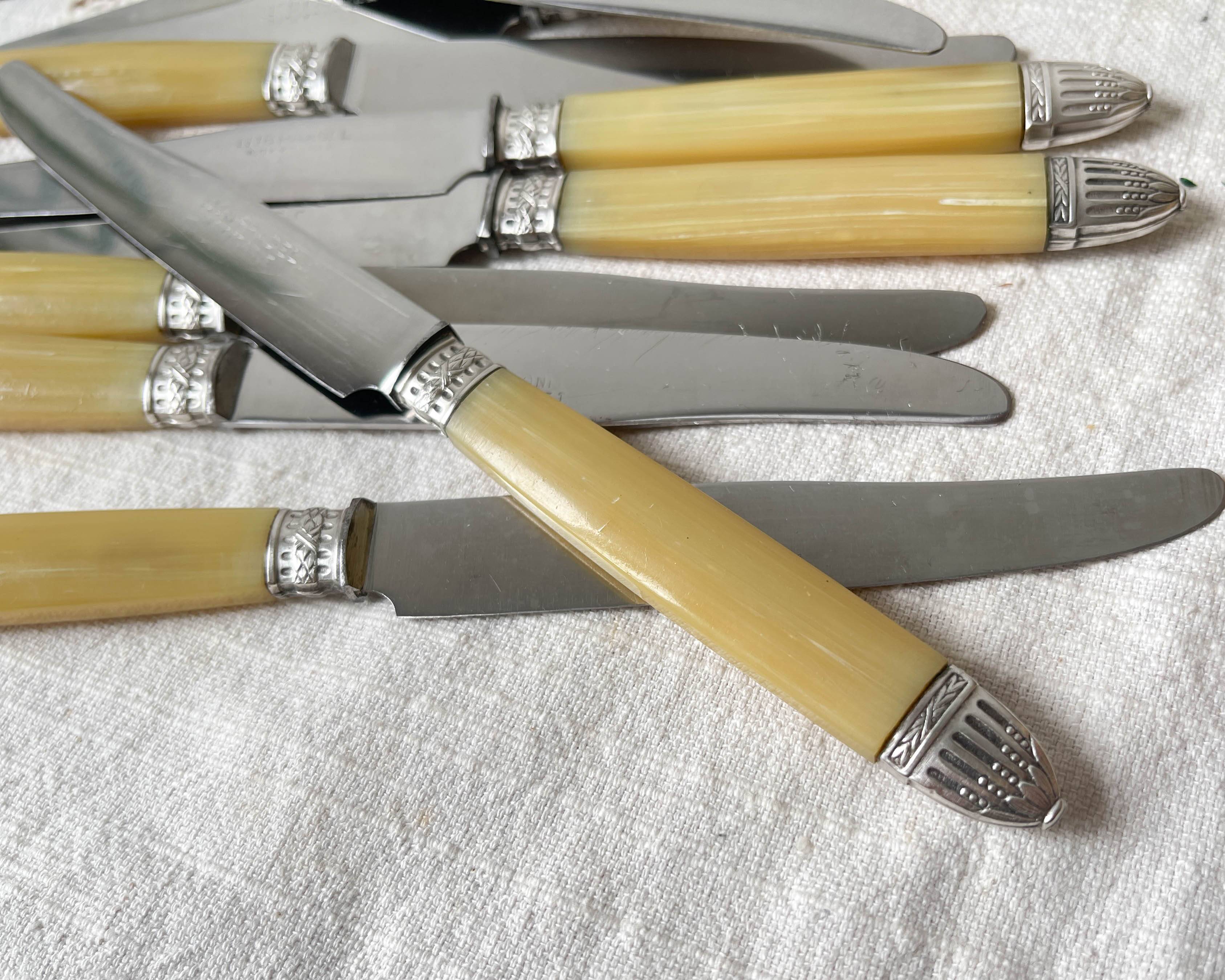 12 couteaux vintage bakélite Inox Pradel