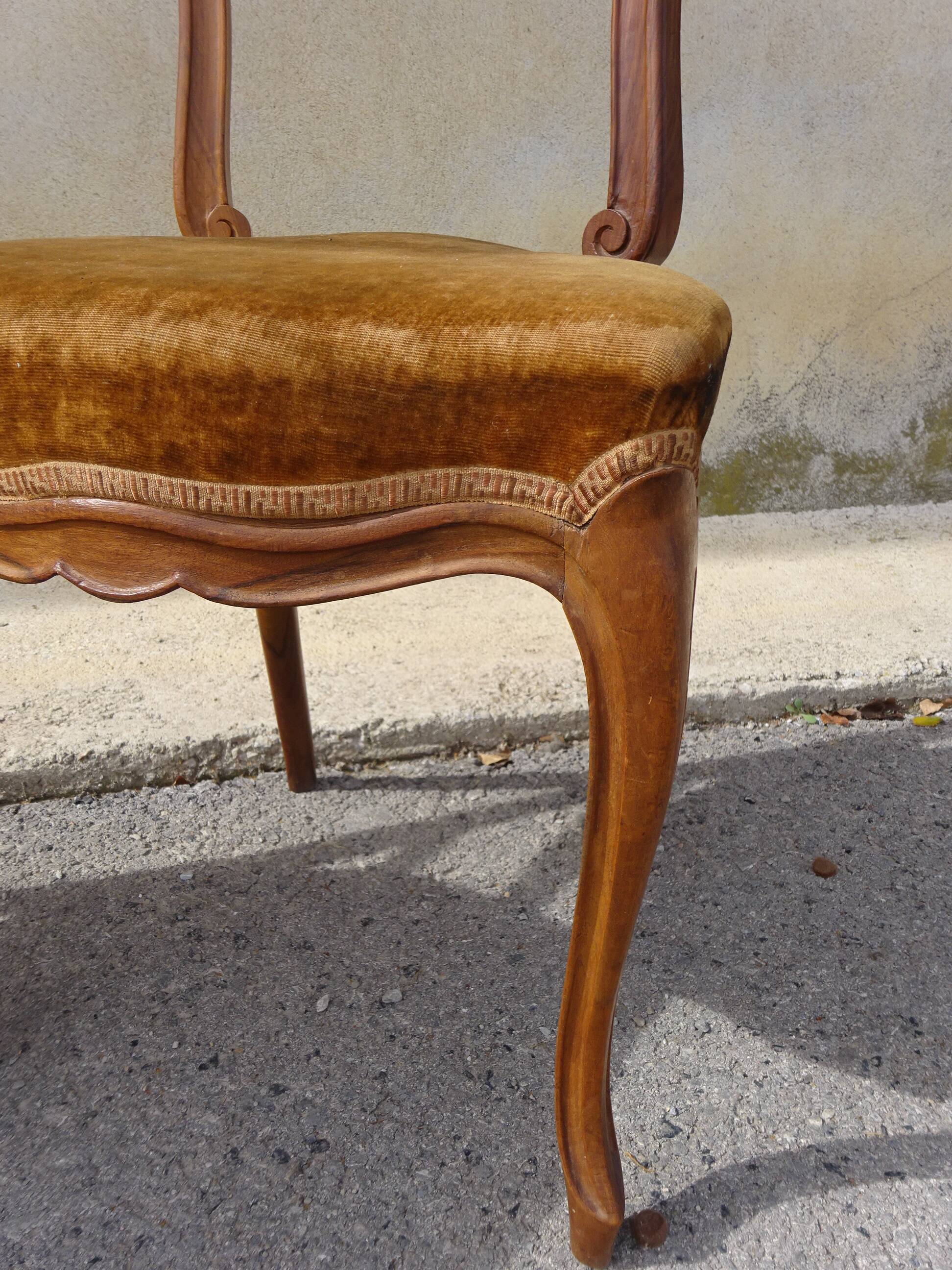 2 old chairs in walnut and velvet